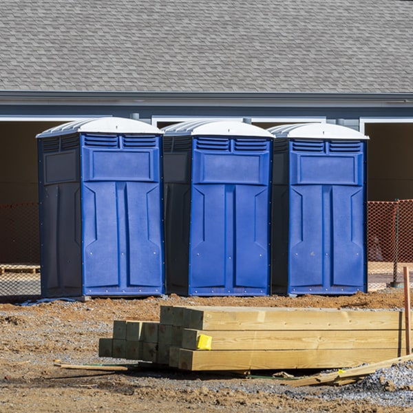 do you offer hand sanitizer dispensers inside the porta potties in Curtis